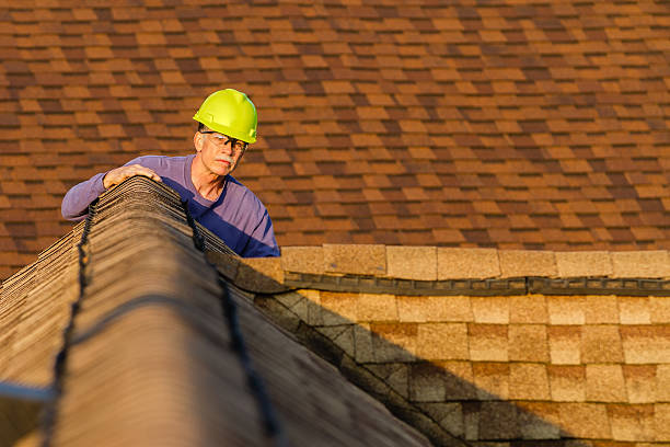 Best Emergency Roof Repair  in Chicago Heights, IL